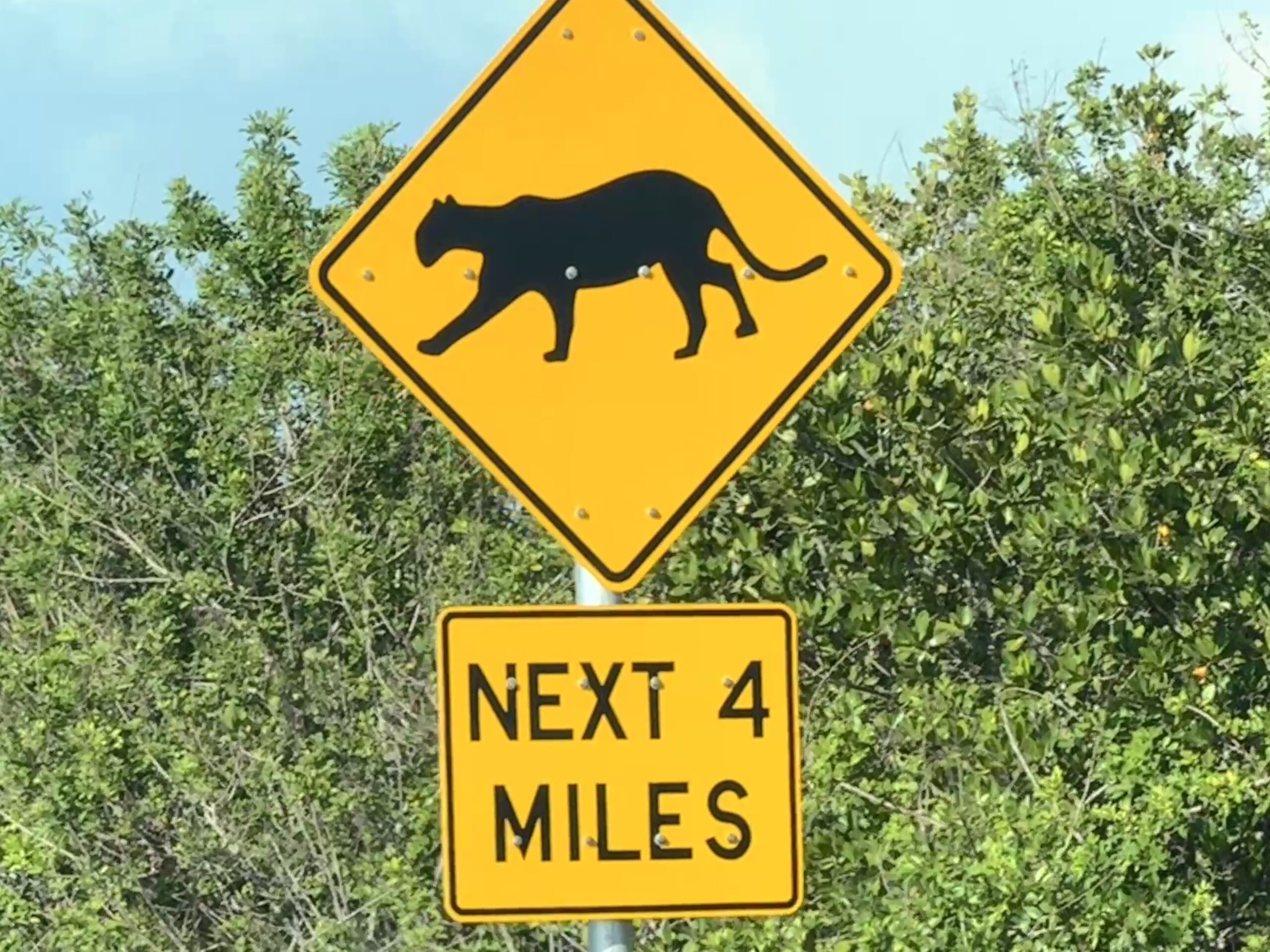 Florida Panther Zone